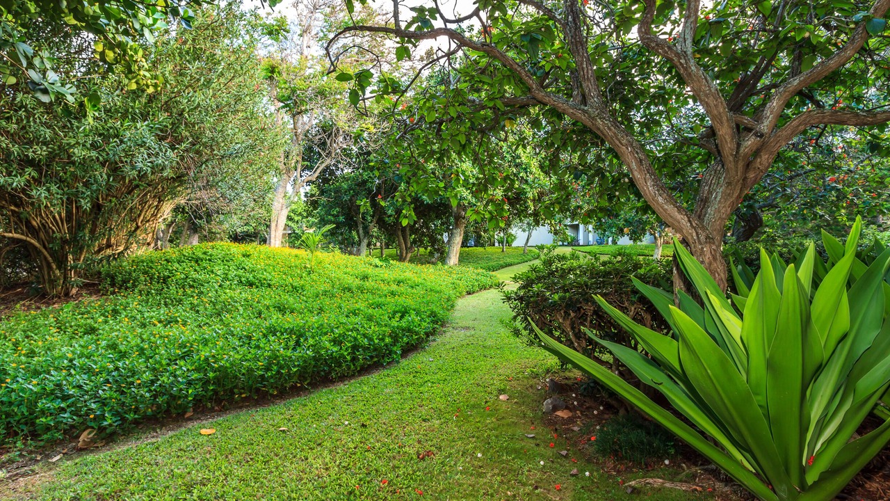 Photo of Outdoor in Kahuku