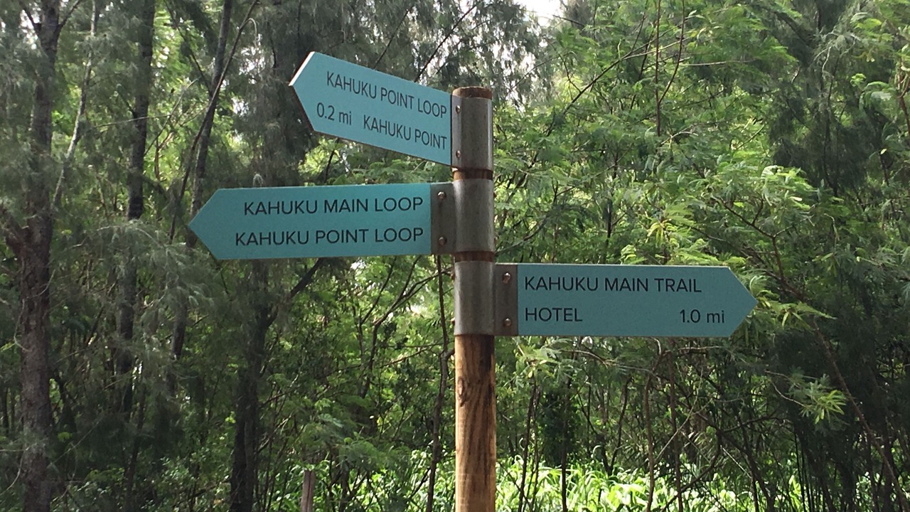 Photo of Outdoor in Kahuku