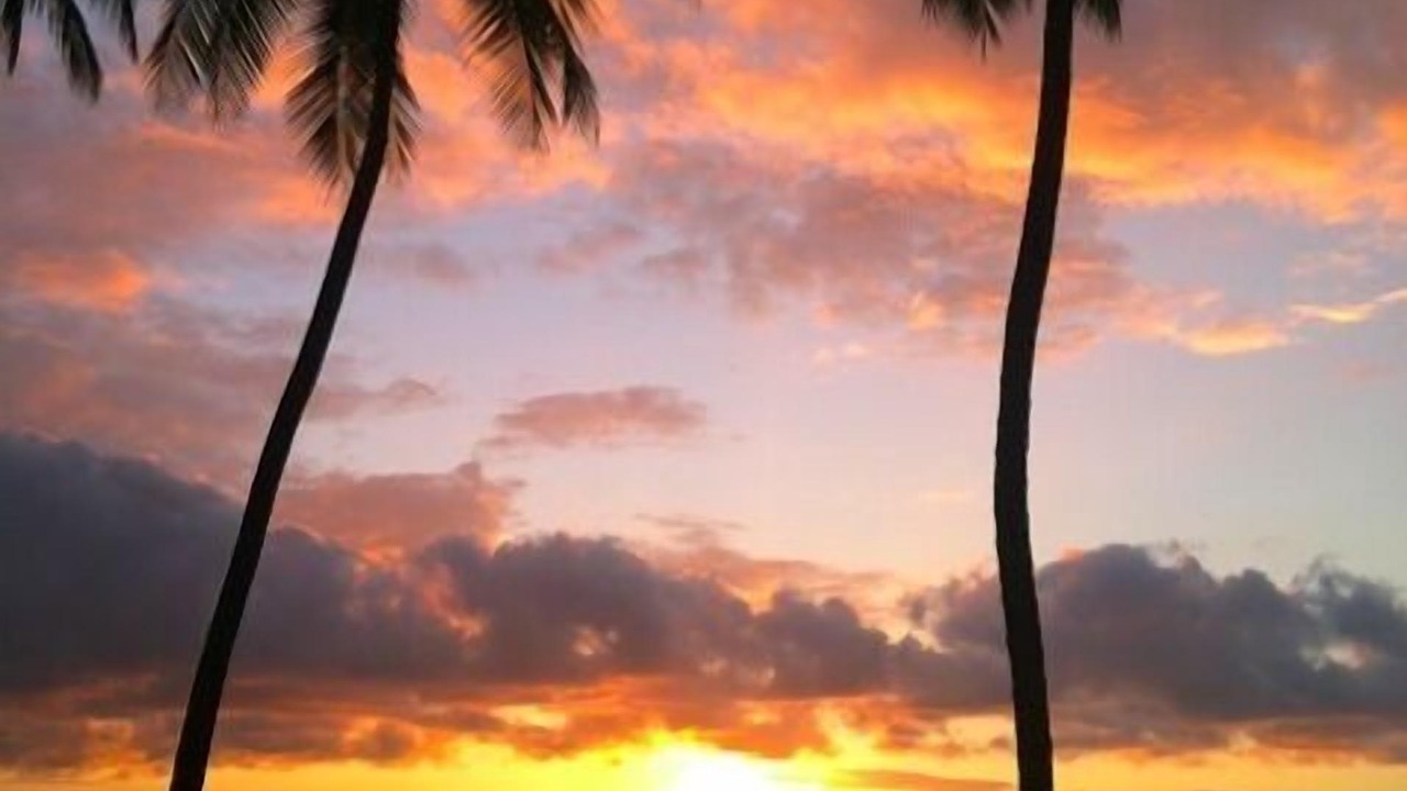 Photo of Others in Kahaluu Bay