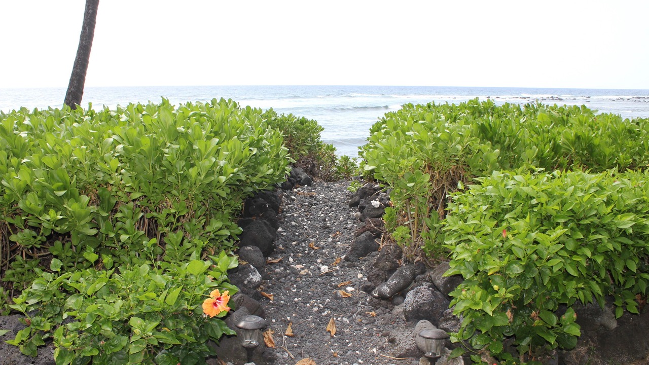 Photo of Others in Kahaluu Bay