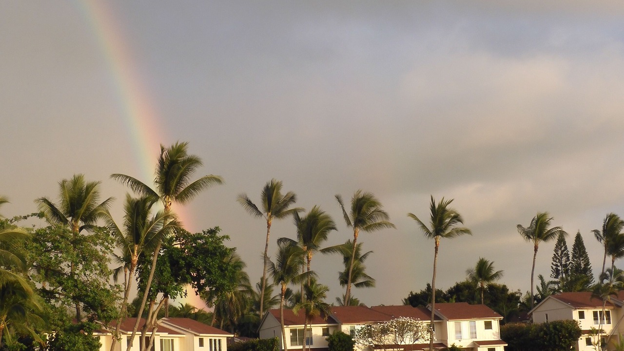 Photo of Others in Kahaluu Bay