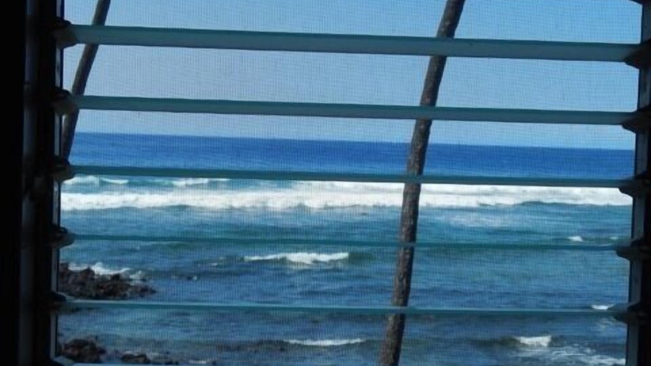 Photo of Others in Kahaluu Bay