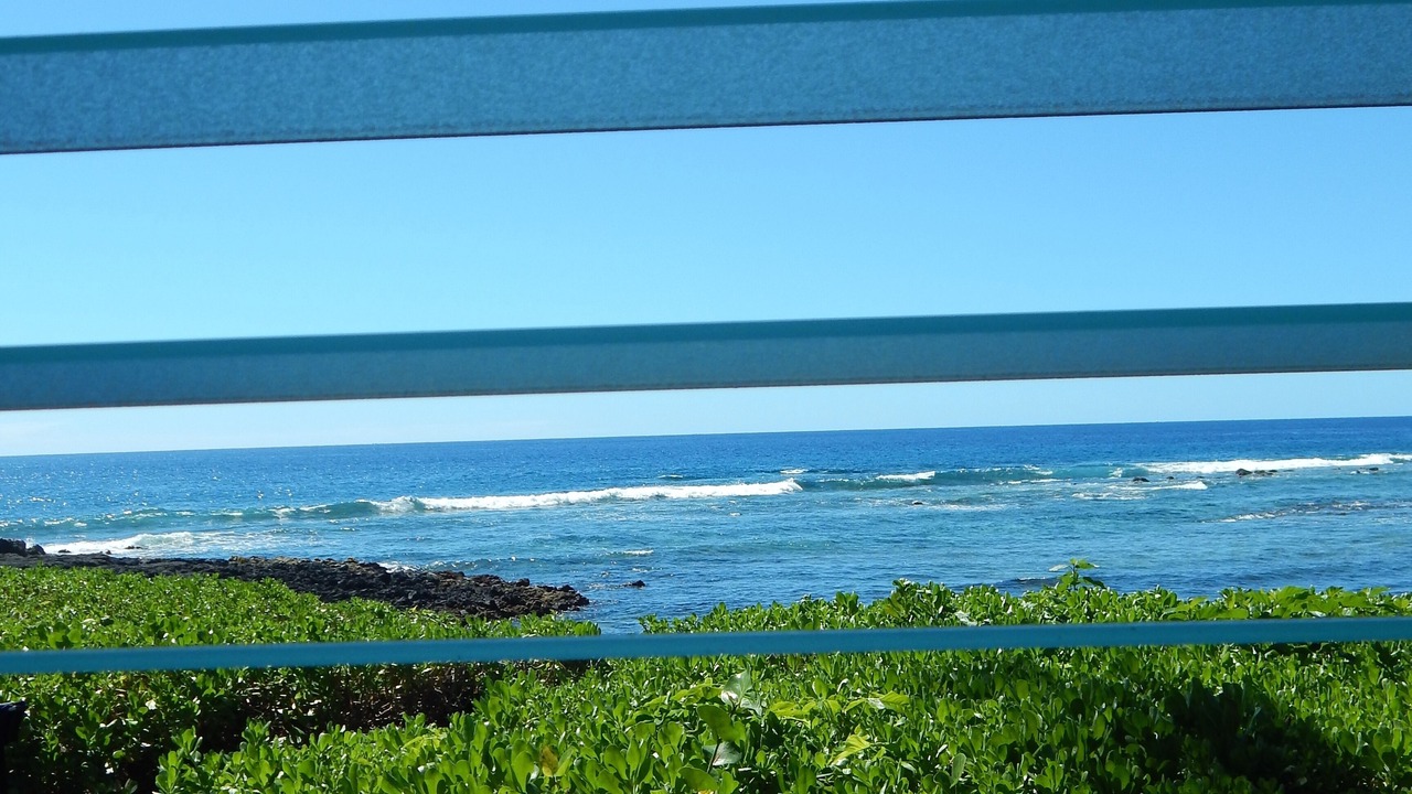 Photo of Others in Kahaluu Bay