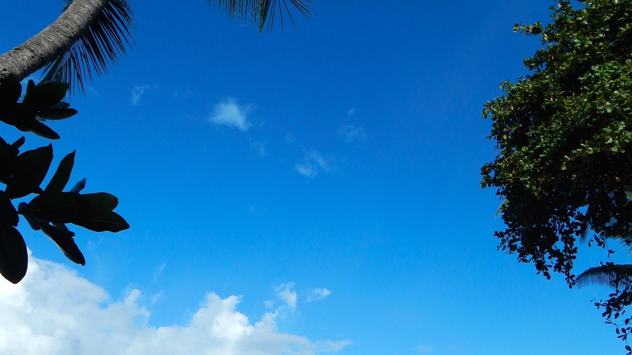 Photo of Others in Kahaluu Bay