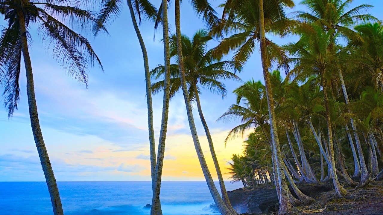 Photo of Others in Kehena Beach Estates
