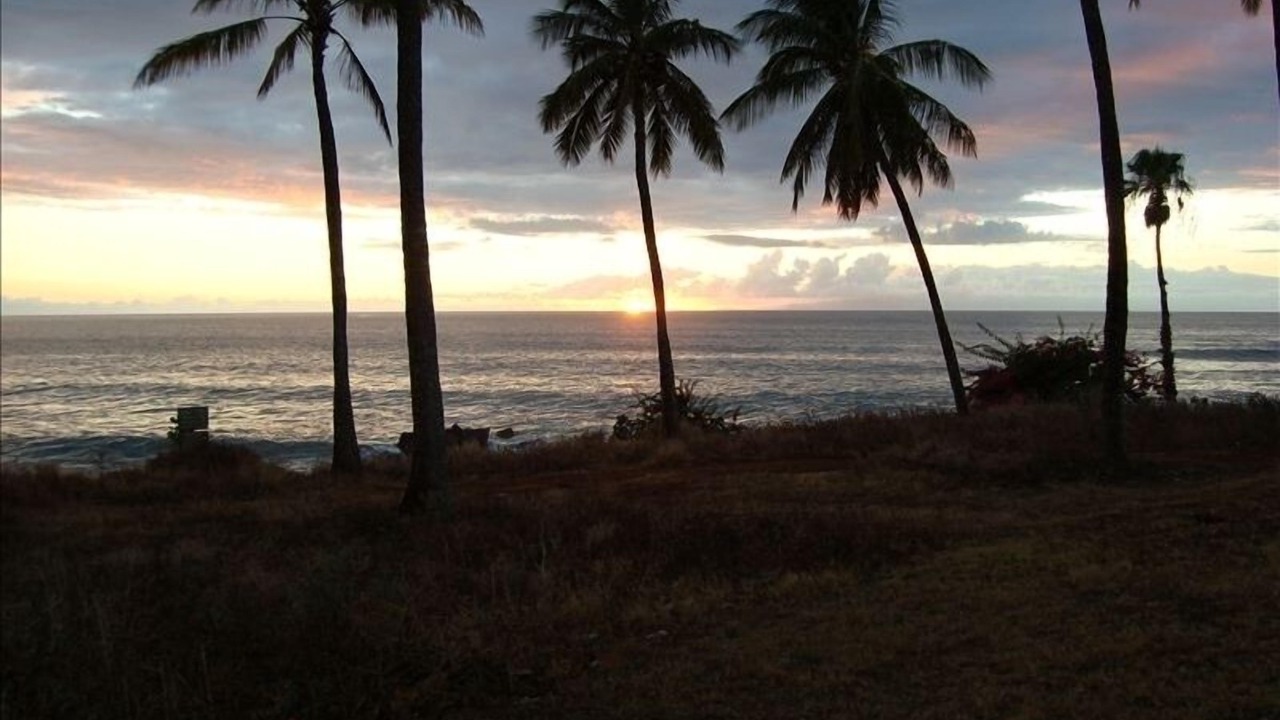 Photo of Others in Maunaloa