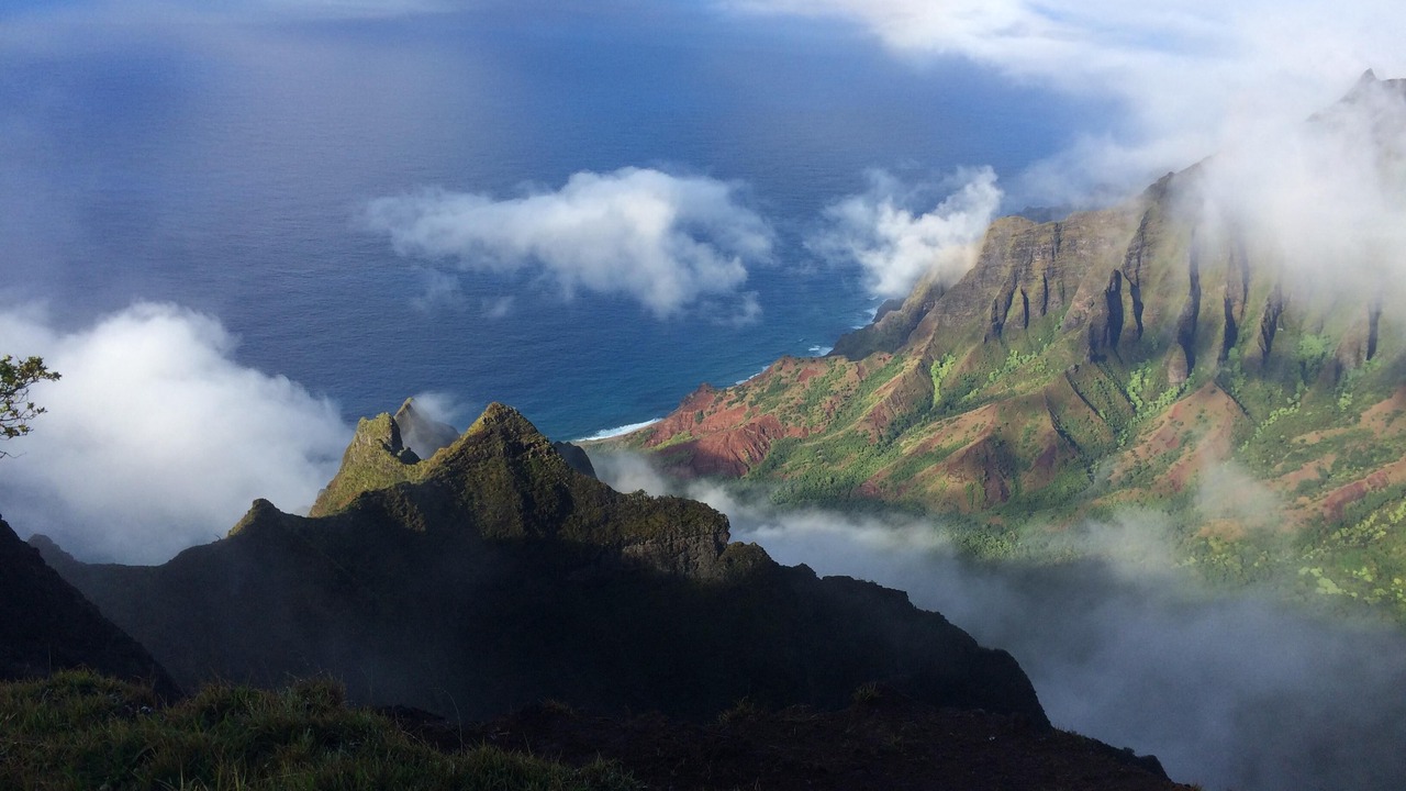 Photo of Others in Poipu