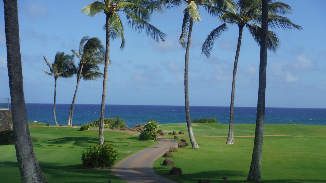 Photo of Others in Poipu