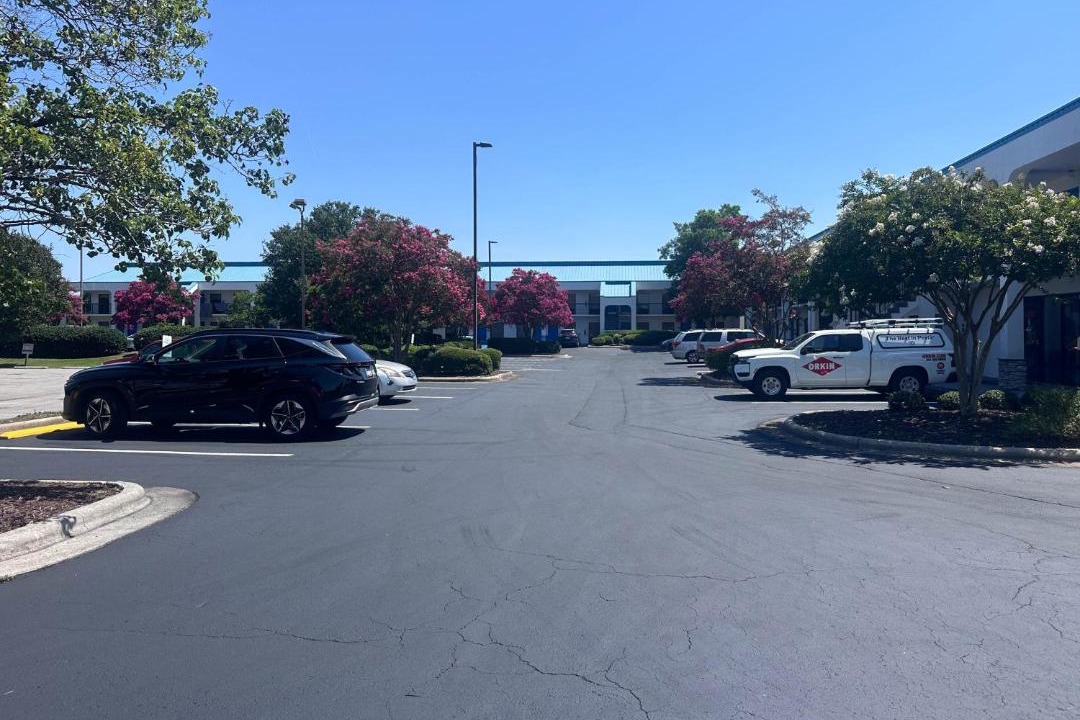 Photo of Others in Jacksonville