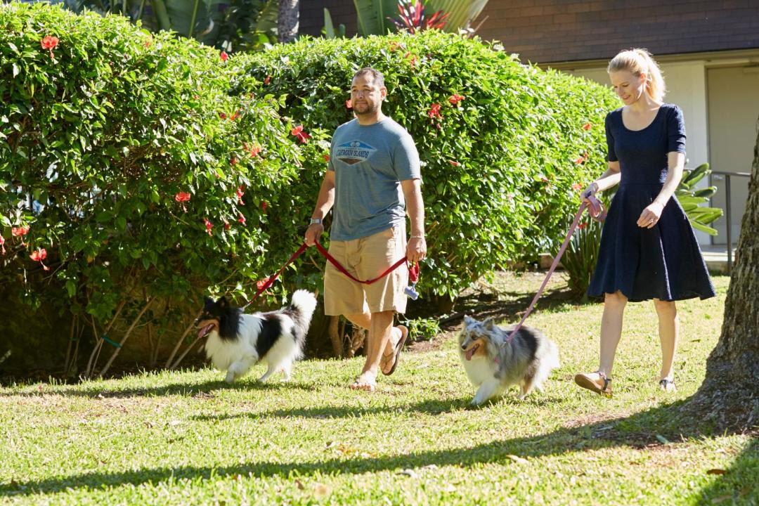 Photo of Others in Western Honolulu
