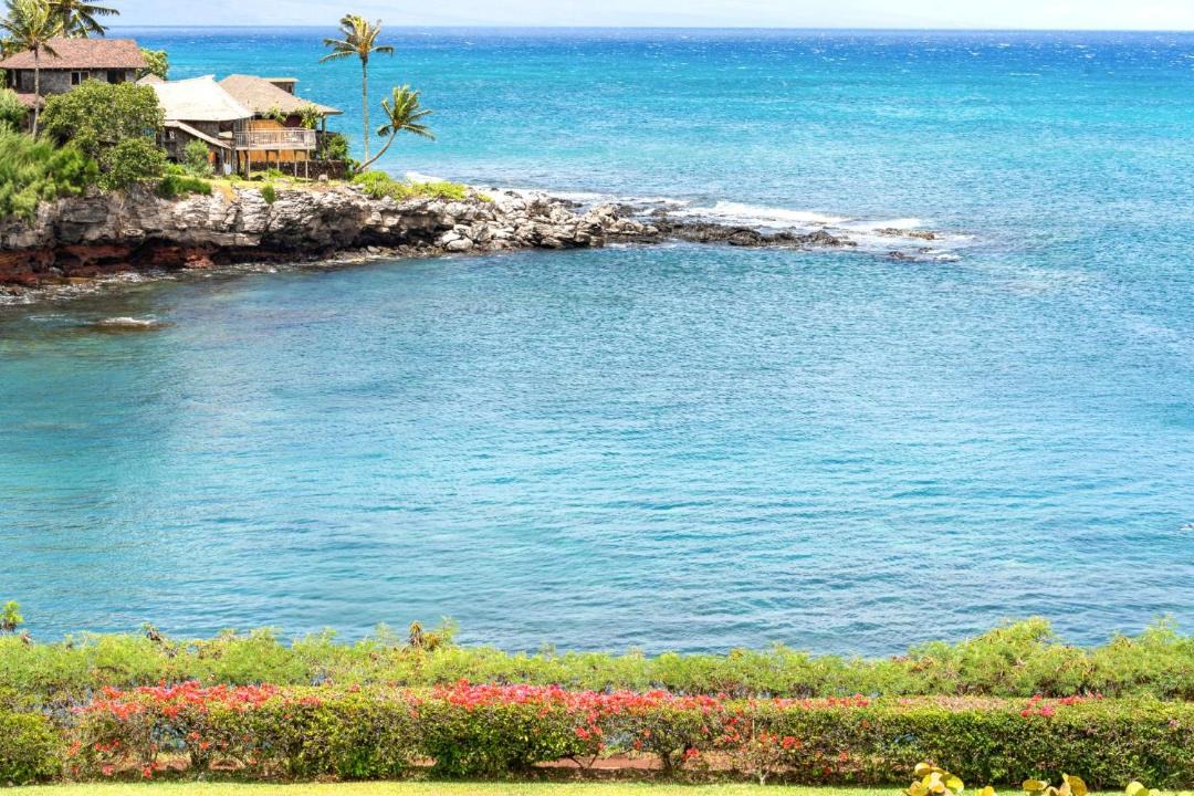 Photo of Others in Napili