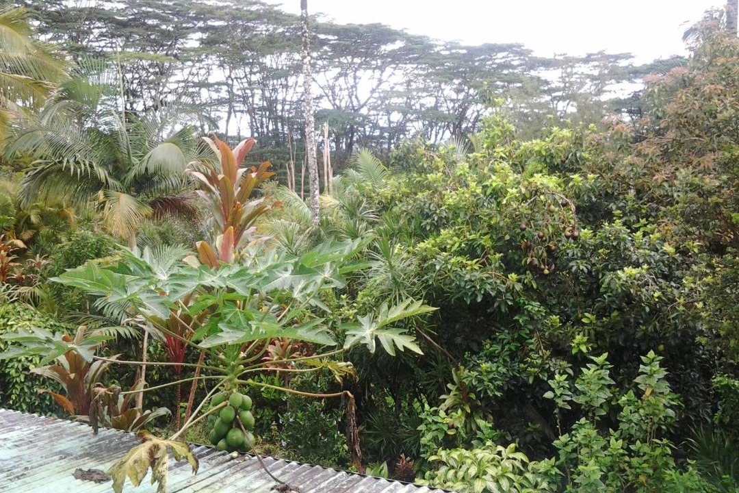 Photo of Others in Kapoho
