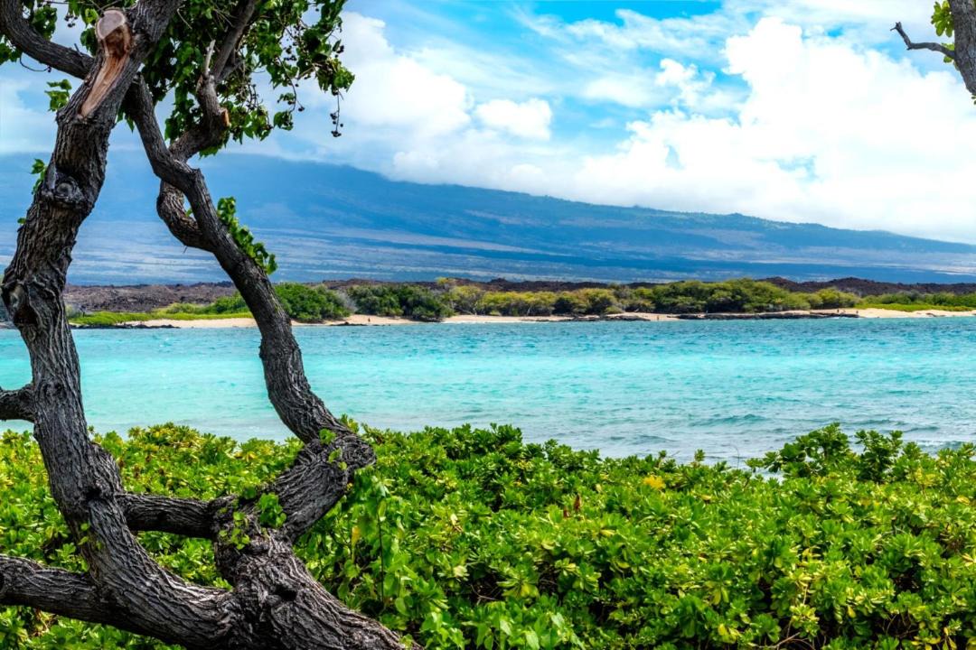 Photo of Others in Waikoloa