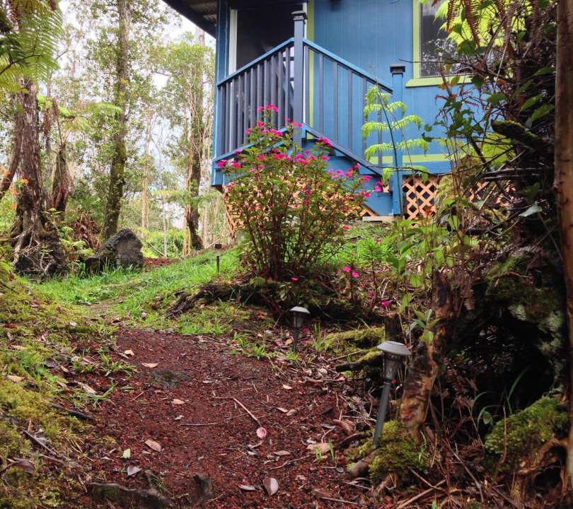 Photo of Others in Fern Forest
