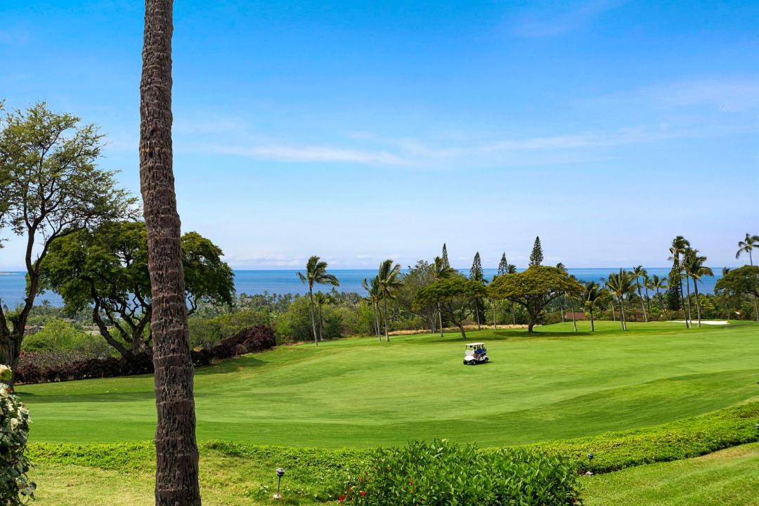 Photo of Others in Keauhou