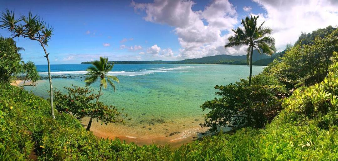 Photo of Others in Poipu