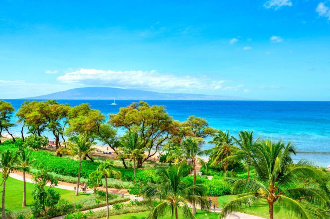 Photo of Others in Kaanapali