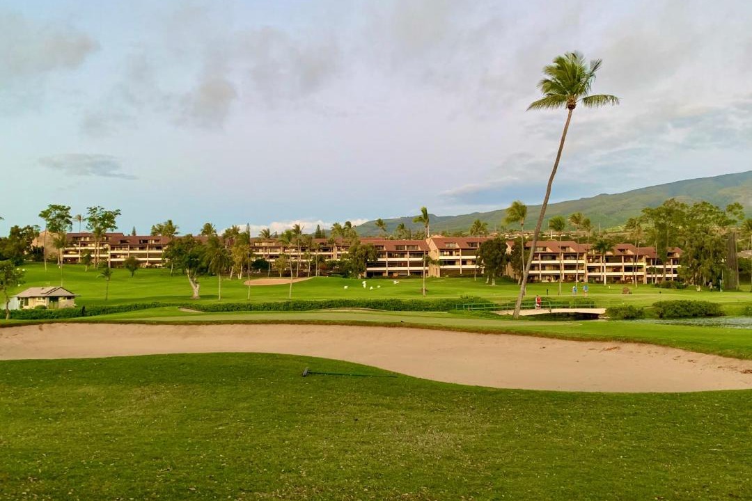 Photo of Others in Kaanapali