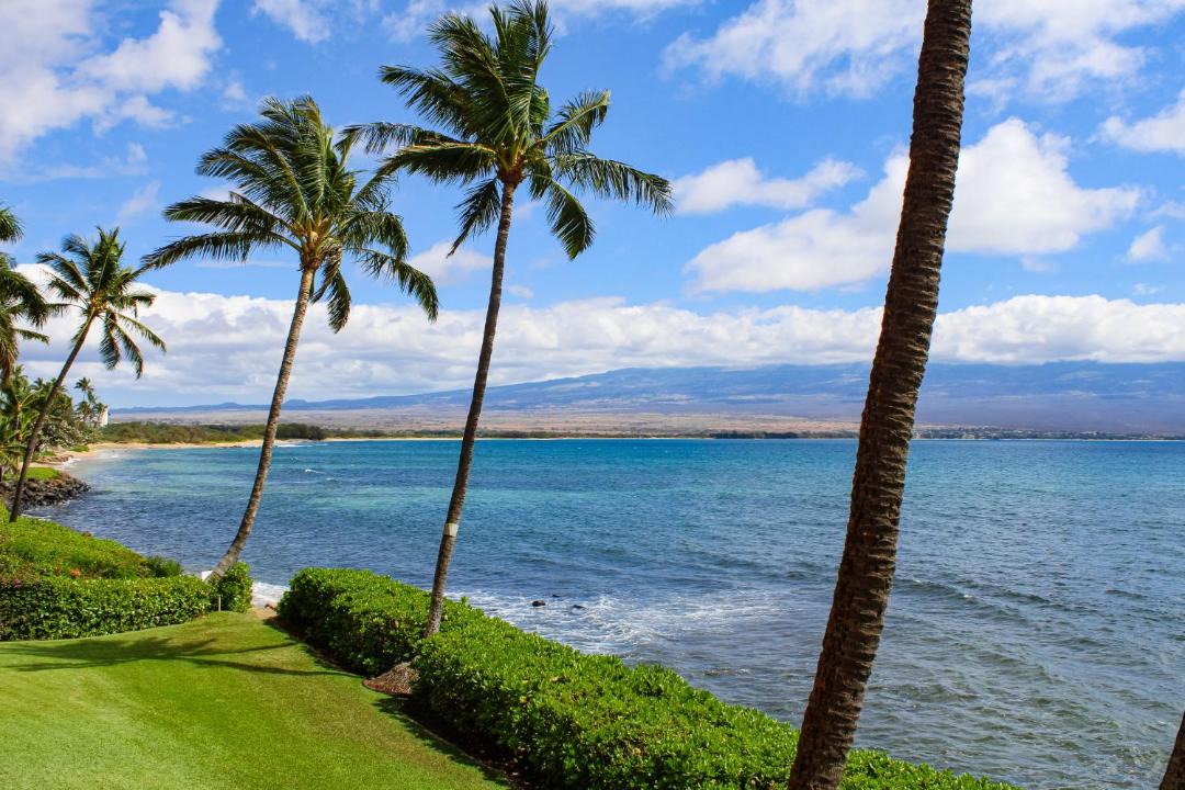 Photo of Others in Maalaea