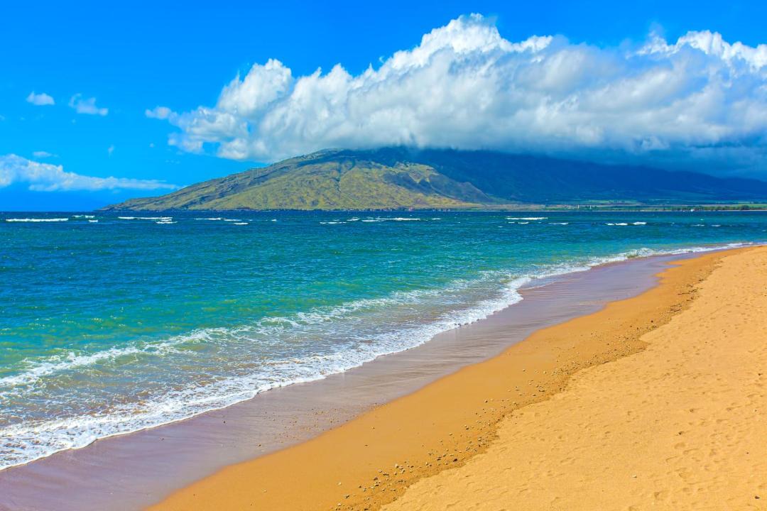 Photo of Others in Maalaea