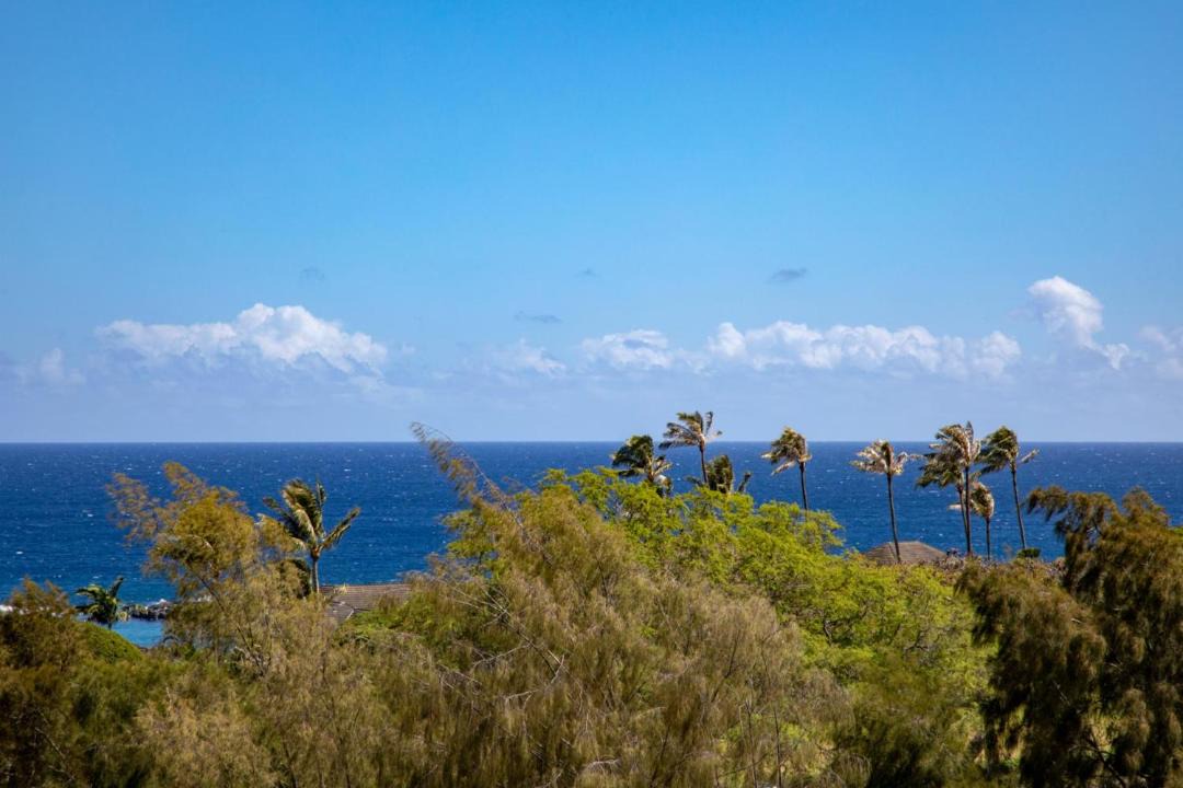 Photo of Others in Kapalua