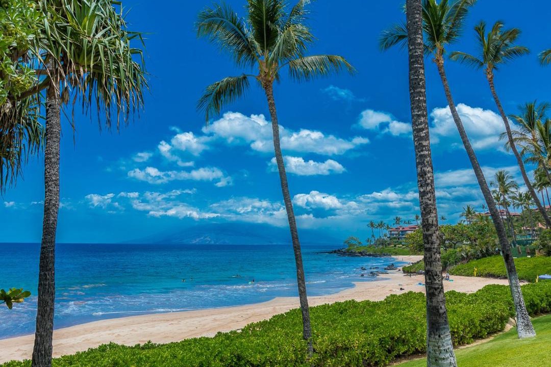Photo of Others in Wailea