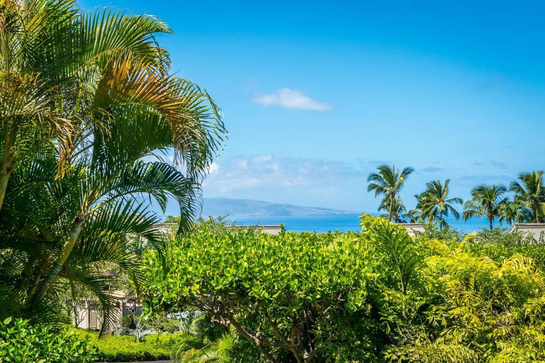 Photo of Others in Wailea