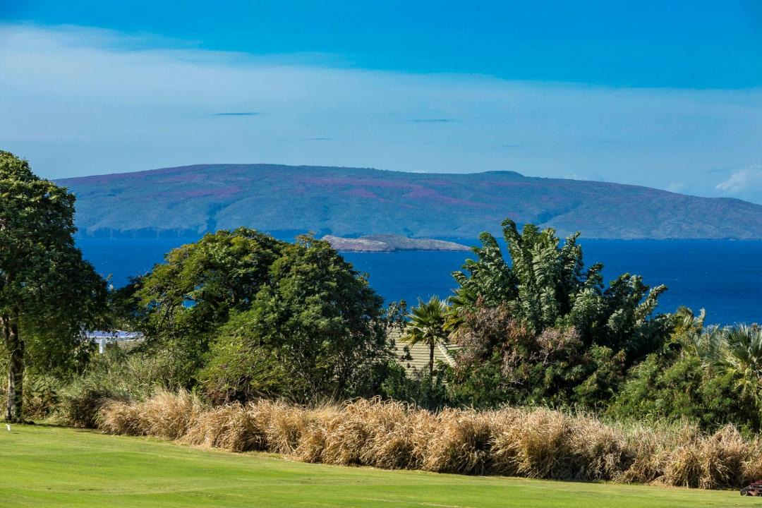 Photo of Others in Wailea