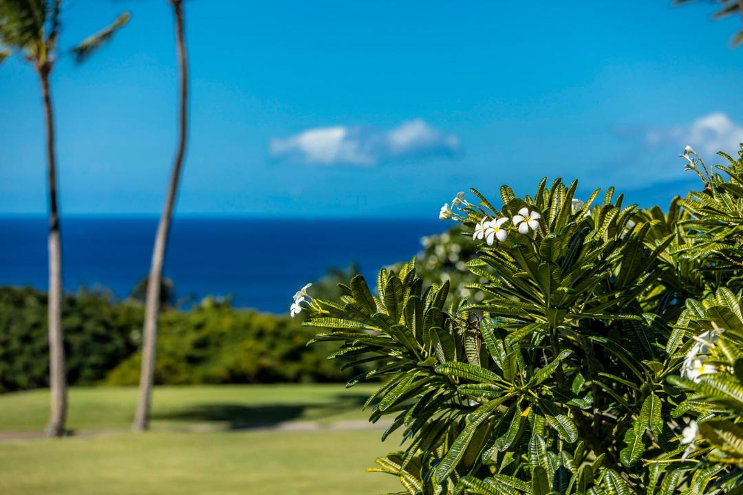 Photo of Others in Wailea