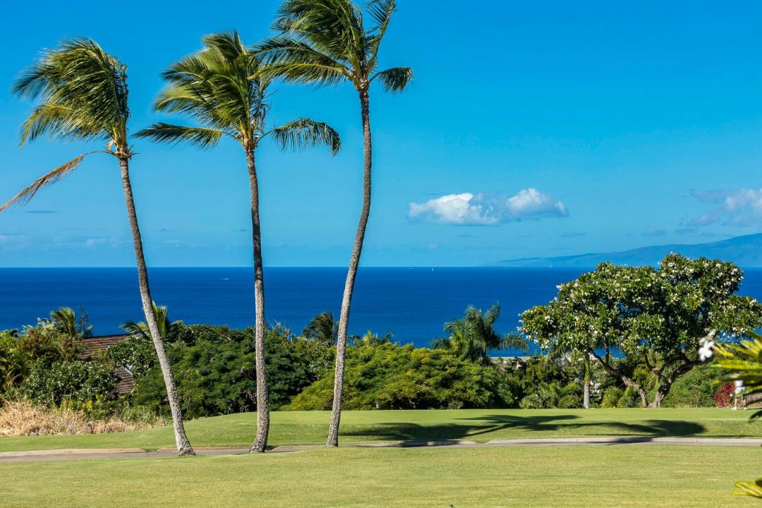 Photo of Others in Wailea