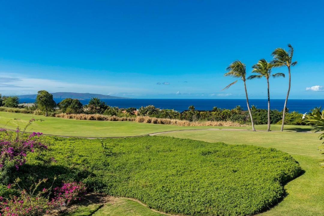 Photo of Others in Wailea