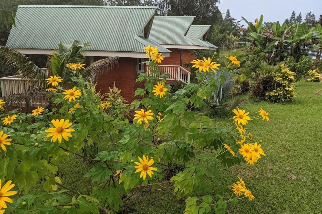 Photo of Others in Hilo