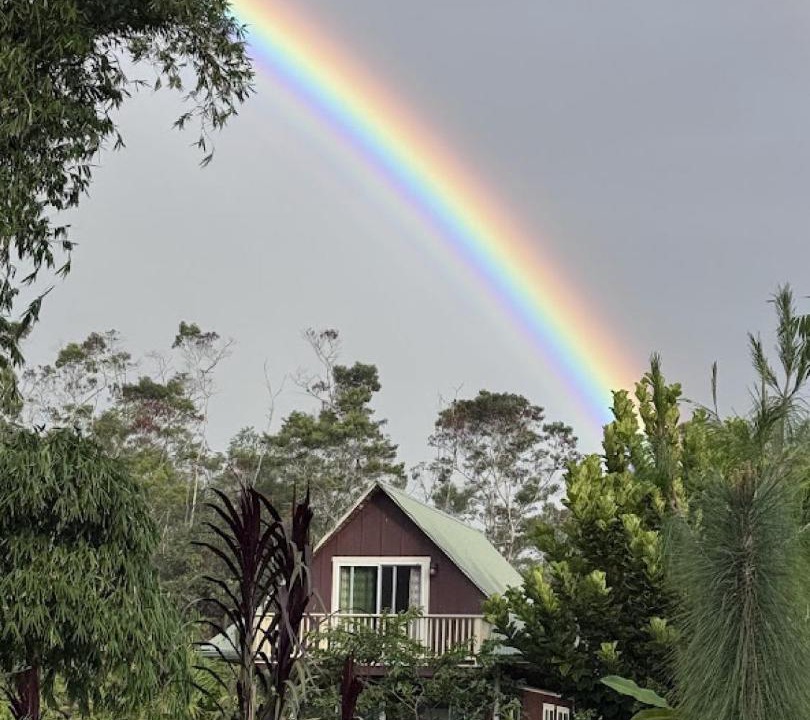 Photo of Others in Hilo