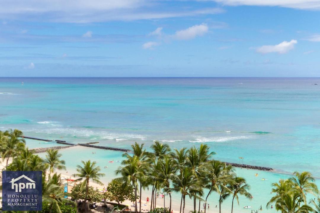 Photo of Others in Waikiki