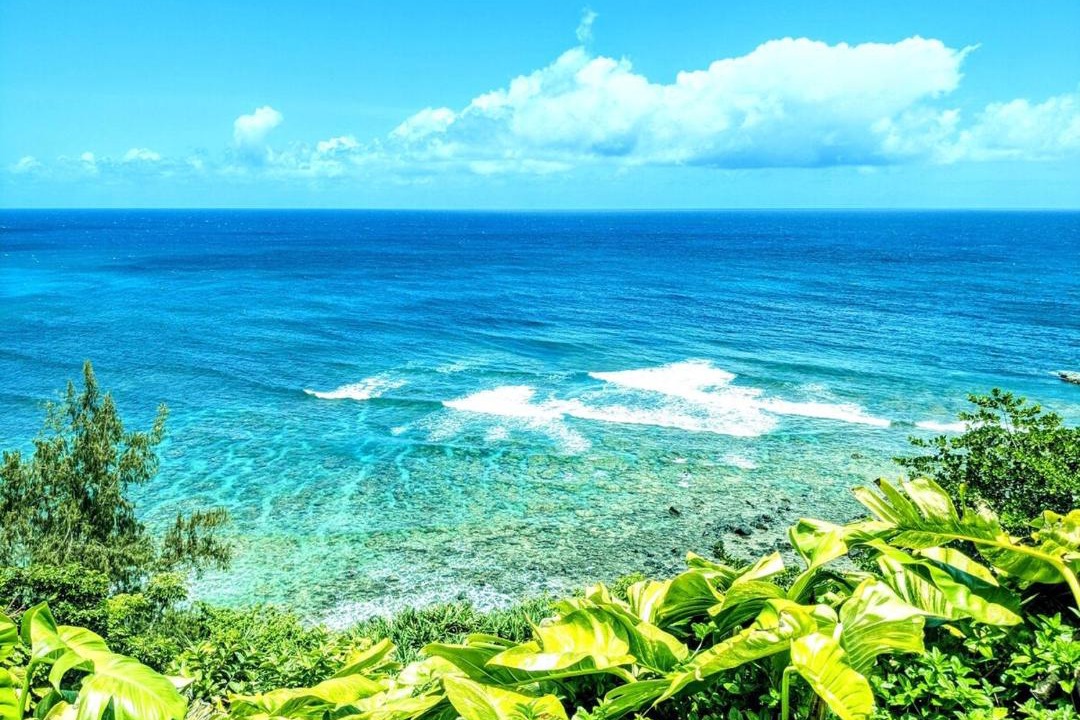 Photo of Others in Princeville