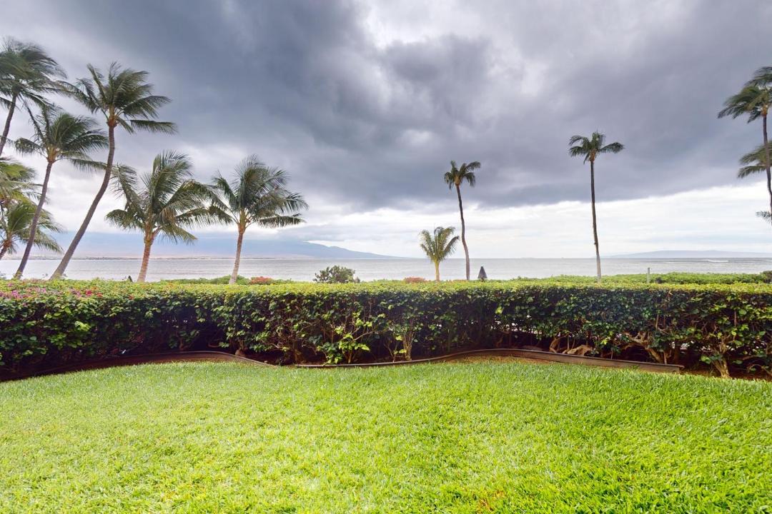 Photo of Others in Maalaea