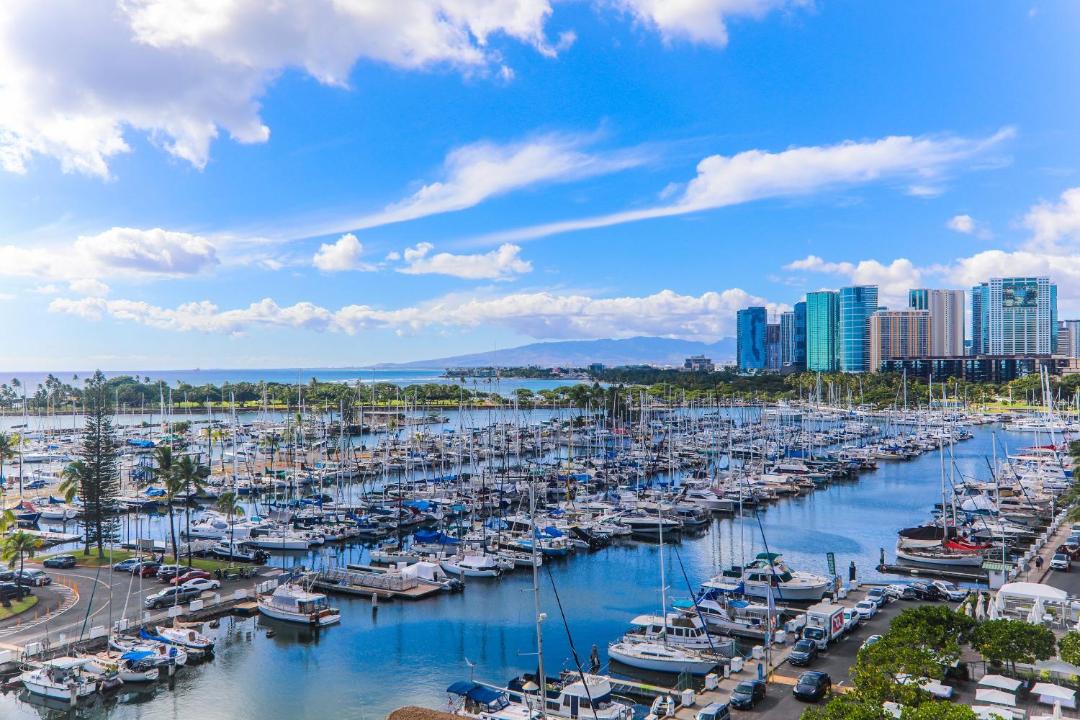 Photo of Others in Waikiki