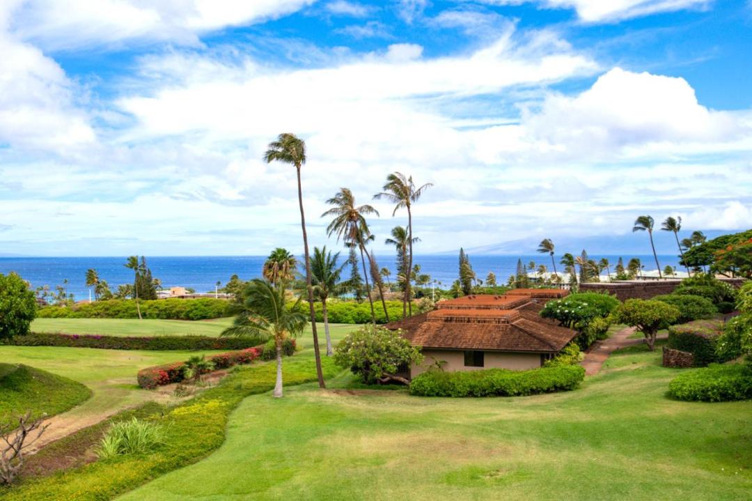 Photo of Others in Honokowai