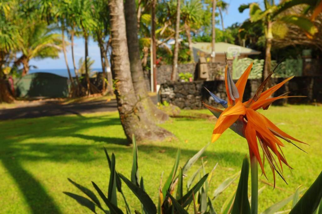 Photo of Others in Kehena Beach Estates