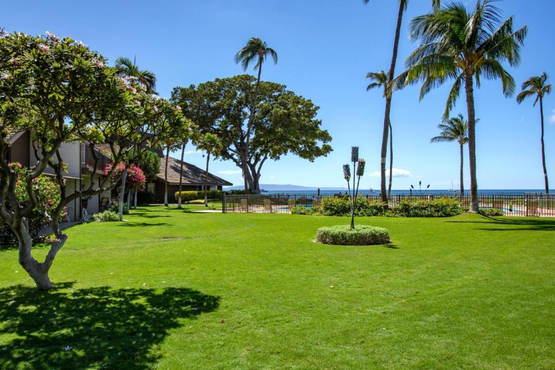 Photo of Others in Kihei