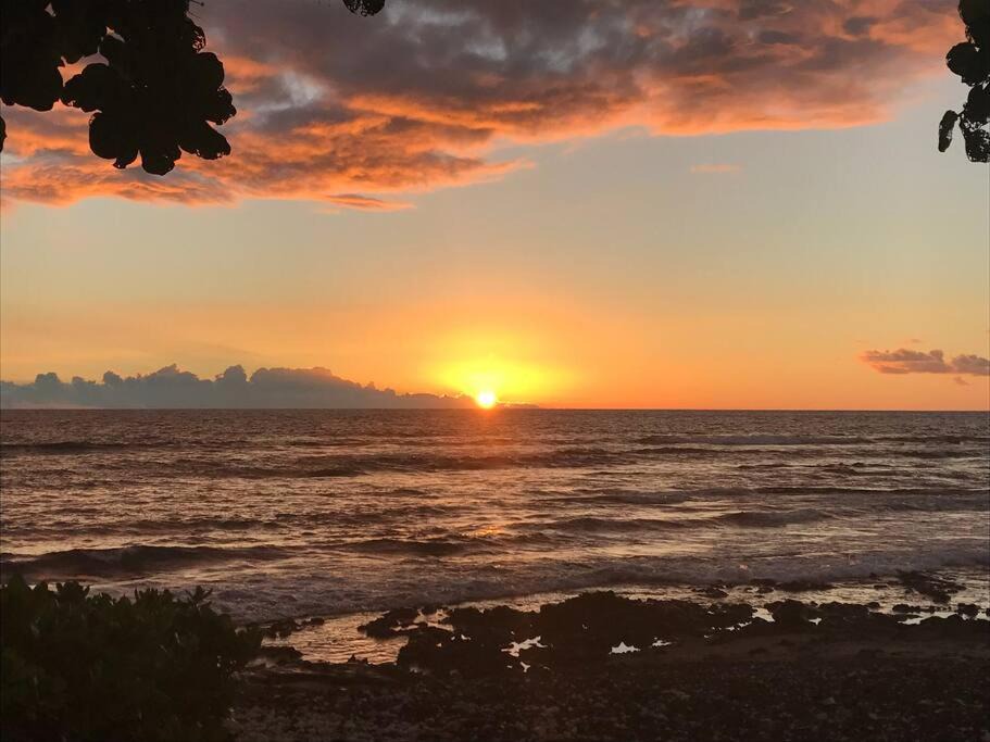 Photo of Others in Kahaluu Bay