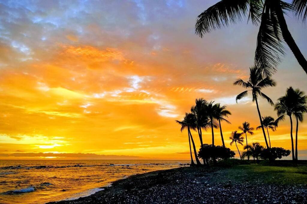 Photo of Others in Kahaluu Bay
