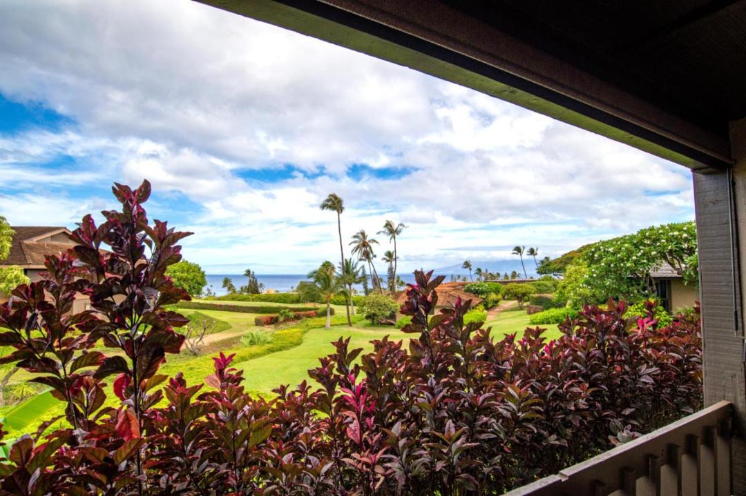 Photo of Others in Honokowai