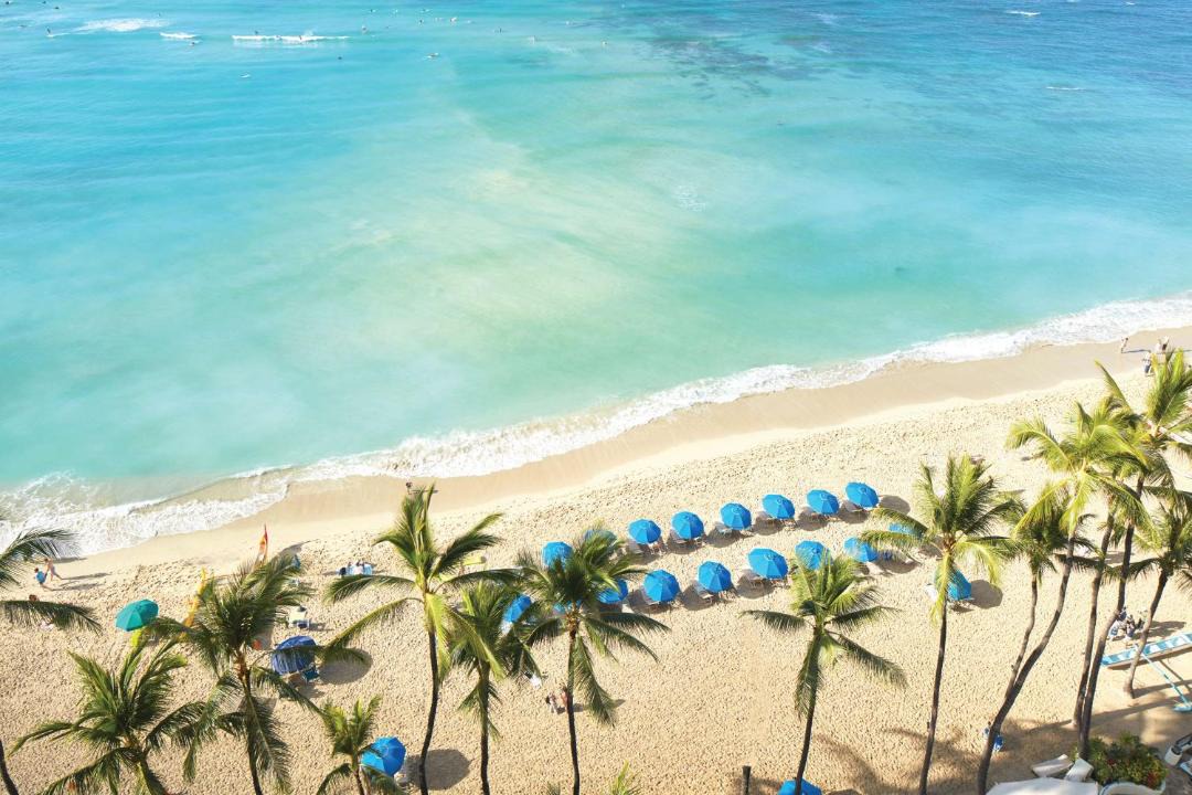 Photo of Others in Waikiki