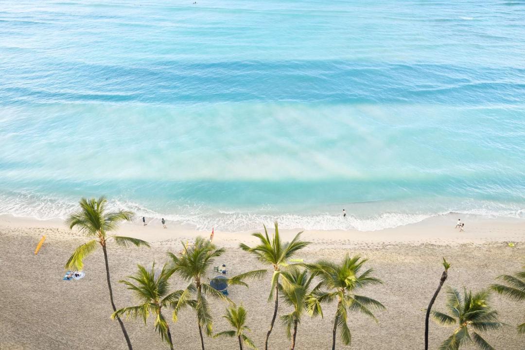Photo of Others in Waikiki