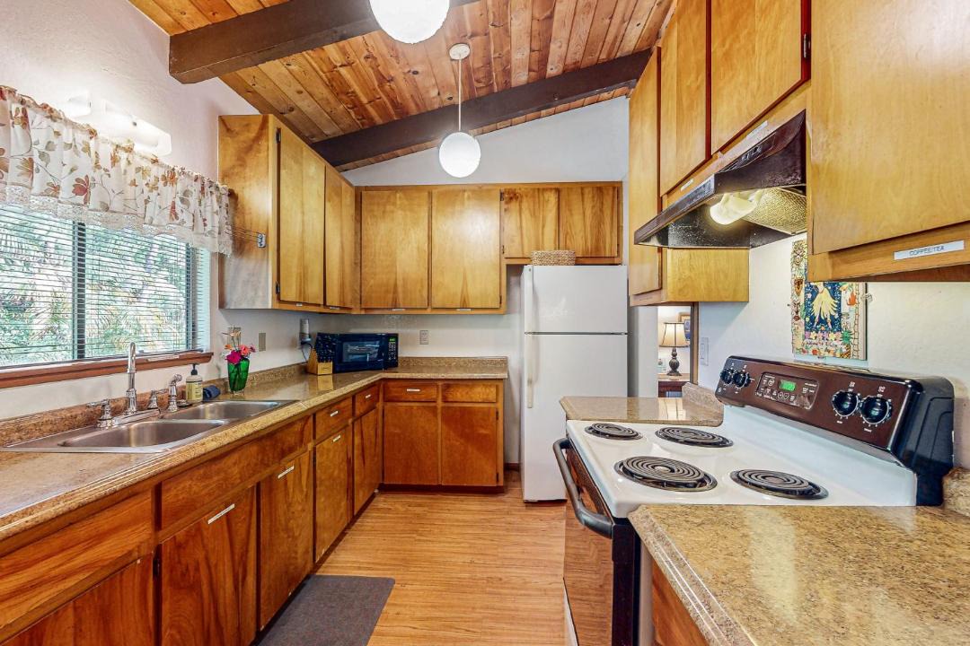 Photo of Kitchen in Volcano