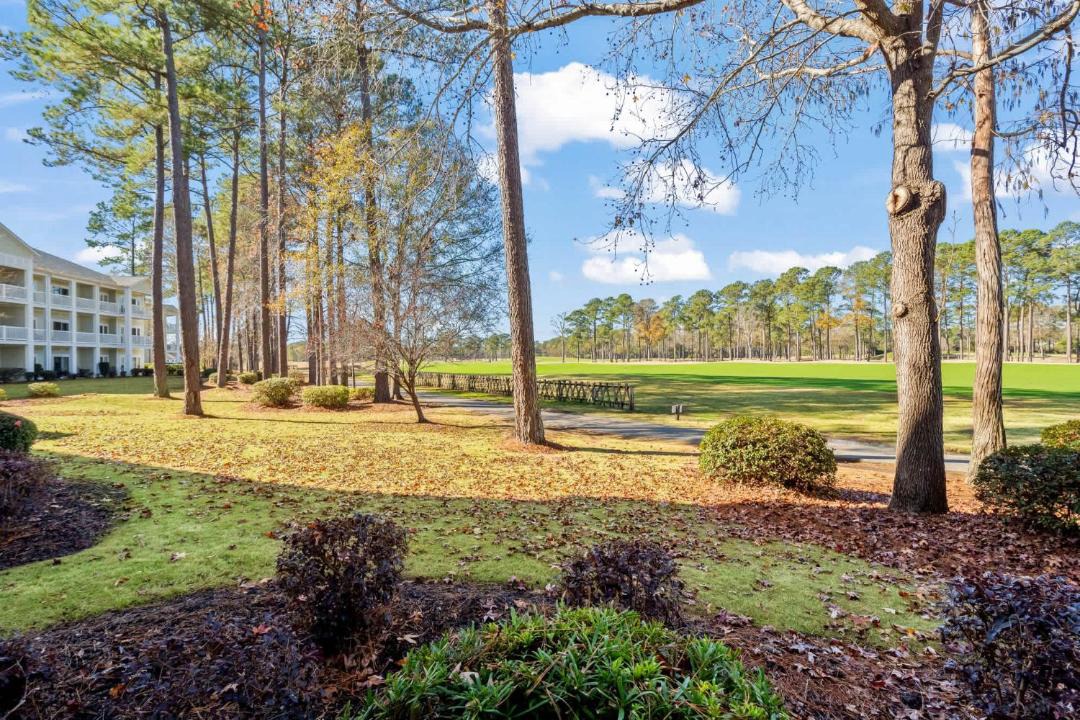 Photo of Others in Carolina Forest