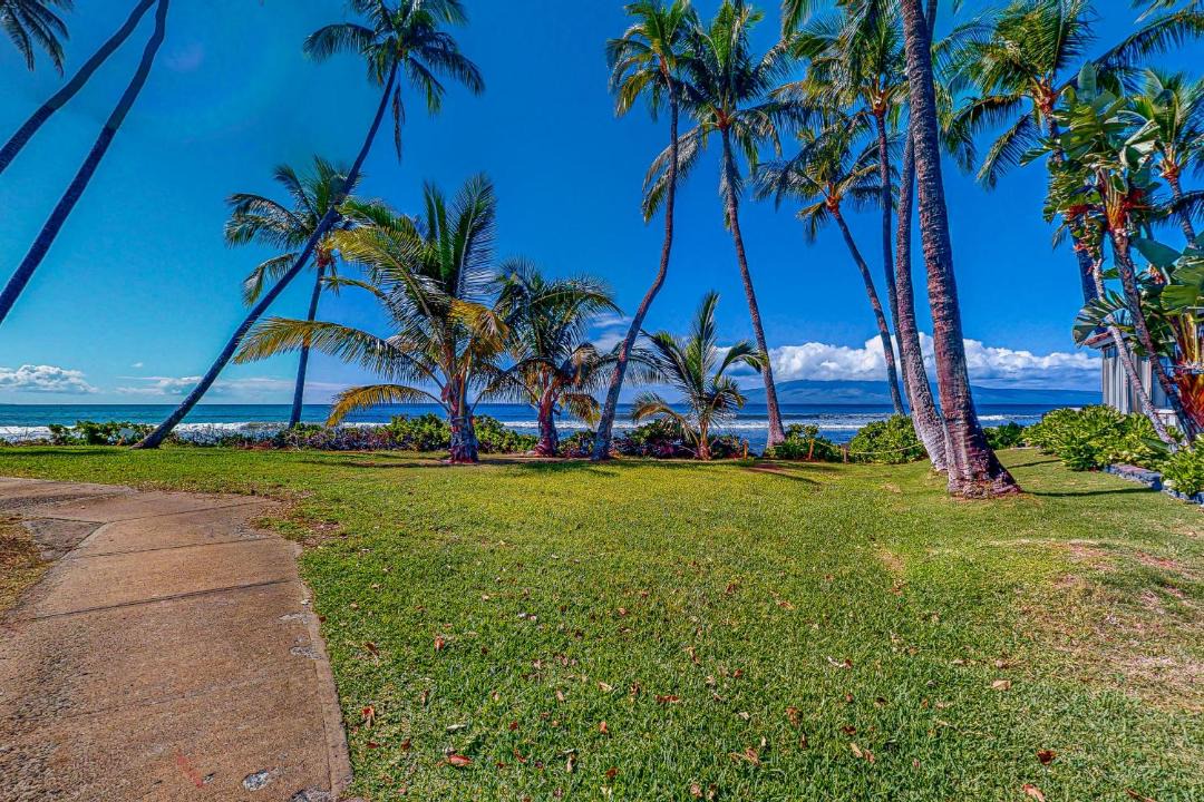 Photo of Others in Historic Lahaina Front Street