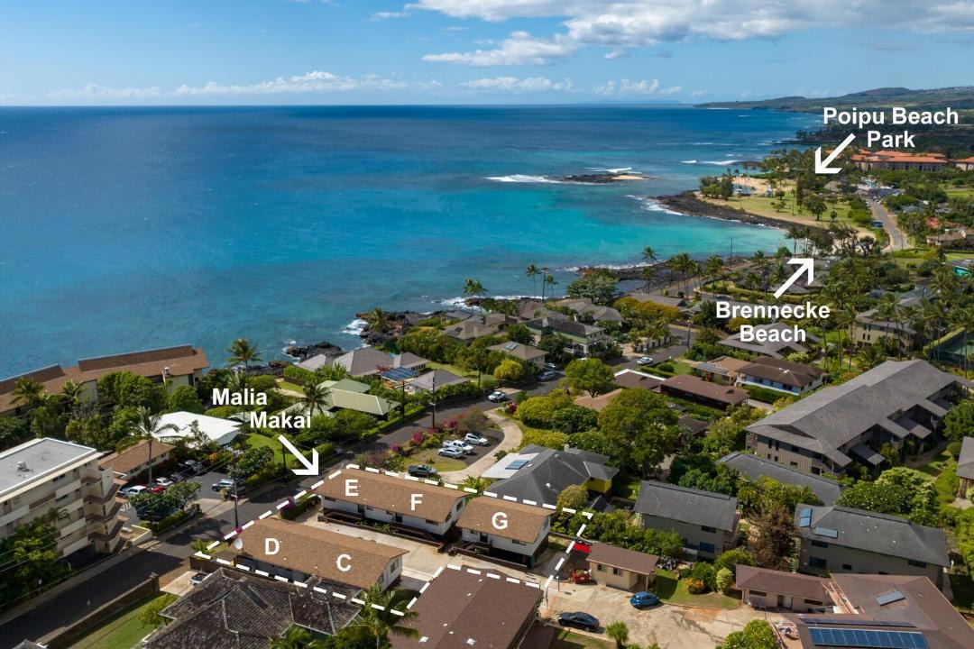 Photo of Others in Koloa