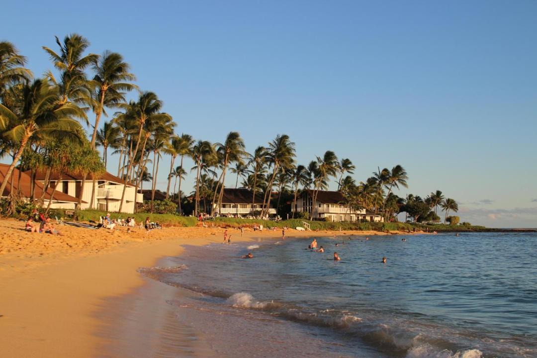 Photo of Others in Koloa
